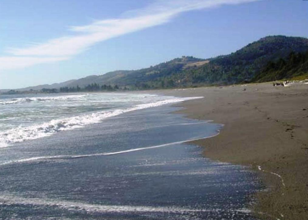 Pelican State Beach in Pelican, California