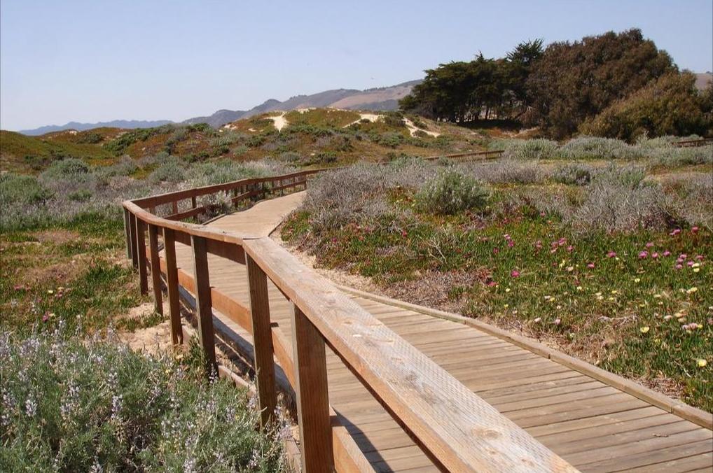 Trail Walk to Pismo State Beach in Oceano, California