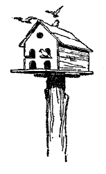 A bird house