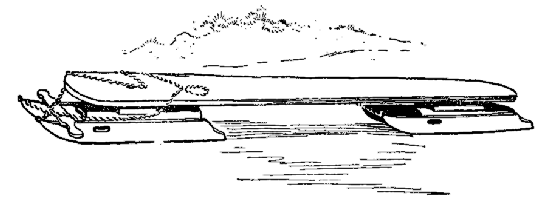 A bobsled or double runner
